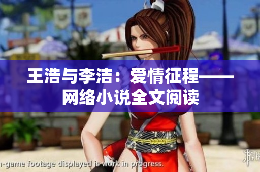 王浩与李洁：爱情征程——网络小说全文阅读