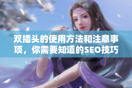 双插头的使用方法和注意事项，你需要知道的SEO技巧