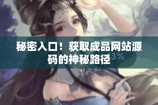秘密入口！获取成品网站源码的神秘路径