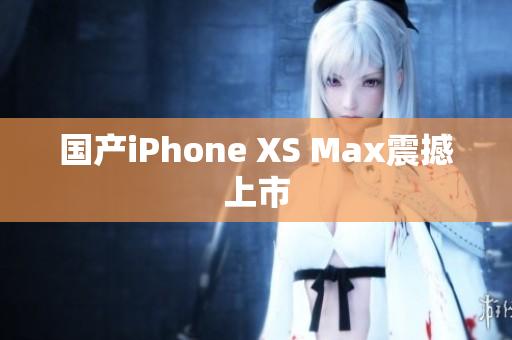 国产iPhone XS Max震撼上市