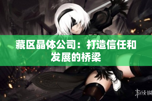 藏区晶体公司：打造信任和发展的桥梁