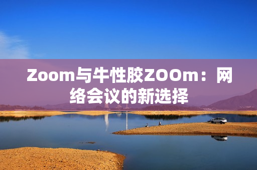 Zoom与牛性胶ZOOm：网络会议的新选择
