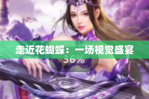 走近花蝴蝶：一场视觉盛宴