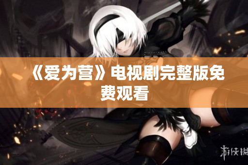 《爱为营》电视剧完整版免费观看