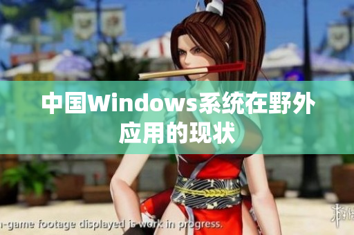 中国Windows系统在野外应用的现状